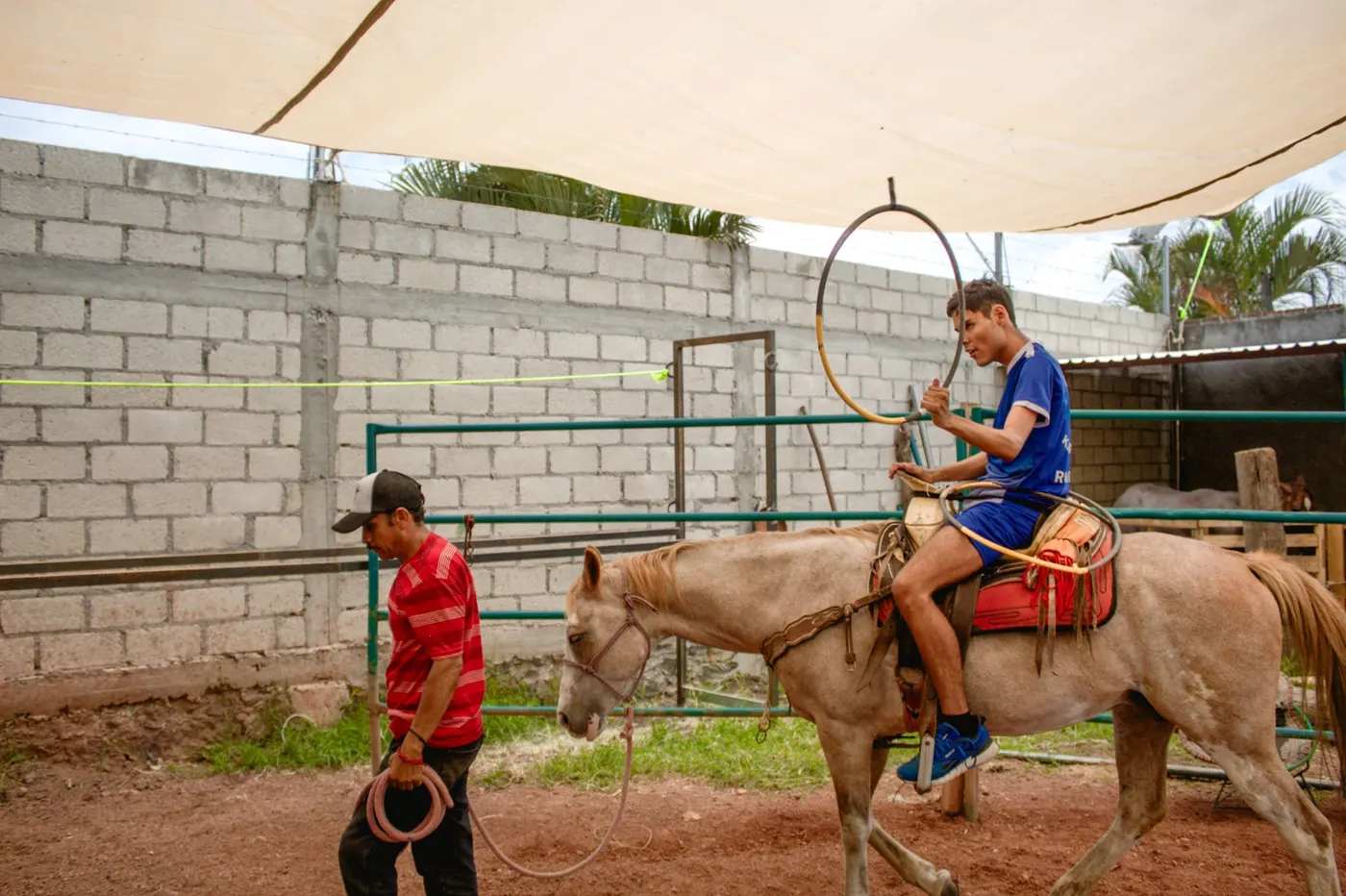 Sesión de equinoterapia